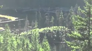 Bigfoot in the remote mountains of Mission BC!