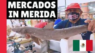 Merida Market Madness | Tasting PHENOMENAL & CHEAP Mexican Dishes in the Yucatan