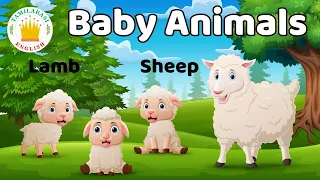 Baby Animals Names and Sounds in English for Kids and Children | Tamilarsi English