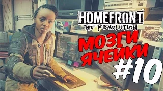 Homefront 2 прохождение на русском/Мозги  ячейки #10