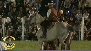 Diamante 2024 Rueda clinas  #caballos #jinete #charreada #jaripeo #rodeo#Cowboy