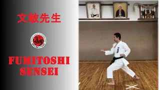 金澤文敏先生と自宅稽古. Training at home with Kanazawa Fumitoshi sensei (english subbed)