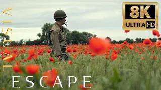 Normandy, France - D-Day 75th Anniversary Battlefields - Visual Escape in 8K