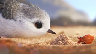 Piper | Clip uit de Pixar Kortfilm voor Finding Dory | Disney BE