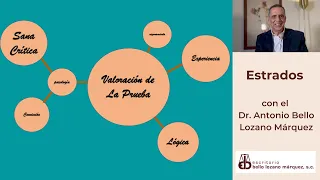 valoración de las pruebas: que principios utiliza un juez para saber si una prueba es válida