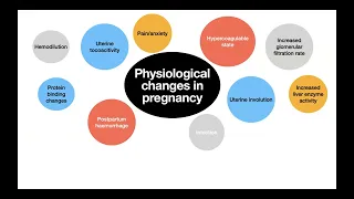 Management of valvular heart diseases in pregnancy