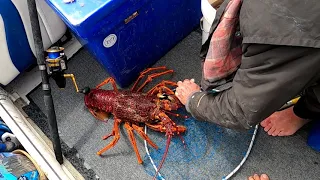 How to catch a 5kg lobster (crayfish) on a rod and reel at Cape Jaffa South Australia March 2021