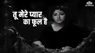 Tu Mere Pyar Ka Phool Hai | {Lata Mangeshkar} | Full Video Song | Dhool Ka Phool | #song 💕🎶