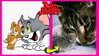 Tom & Jerry IN REAL LIFE 💥👉🏼@Chunie Tunes