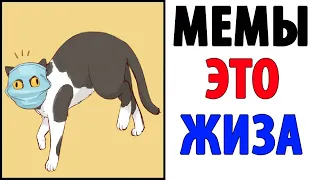 Лютые приколы. МЕМЫ ЭТО ЖИЗНЬ