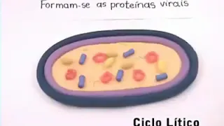 Ciclo lítico vs Ciclo Lisogênico