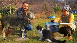 Unusual Lamb Head Dish in the Village | A delicacy of the Caucasus