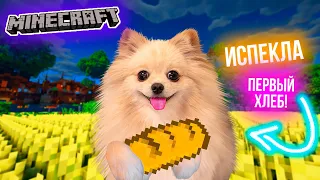 ИСПЕКЛА ПЕРВЫЙ ХЛЕБ В МАЙНКРАФТ ! МОЙ ОГОРОД В MINECRAFT