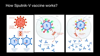 How Russian Sputnik-V vaccine works?