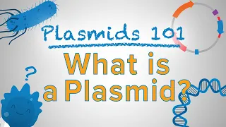 What is a Plasmid? - Plasmids 101