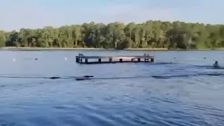 ‘Look how big it is!’ Girl Scout troop swims away from charging alligator while on camping trip ...