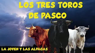 LOS TRES TOROS DE PASCO/LA JOVEN Y LAS ALPACAS (Cuentos andinos)