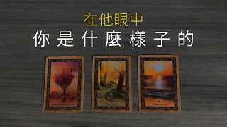 在他眼中，你是什麼樣子的？你是他眼中最重要的人嗎？是他的理想型嗎？ /塔羅占卜/曖昧/愛情/感情/