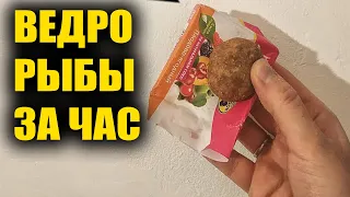 ВЕДРО РЫБЫ ЗА ЧАС! Вся Рыба Прёт на Эту Насадку! Супер Рыболовная Насадка