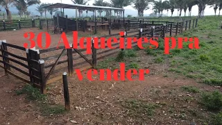 Fazenda muito boa pra vender. 30 alqueires a 35 km de São Félix do xingu Pará.