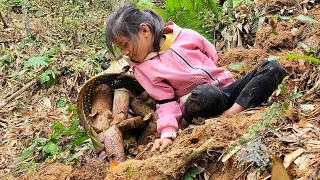 Find bamboo shoots to sell and cook porridge with wild vegetables to eat-Orphaned Boy Vn