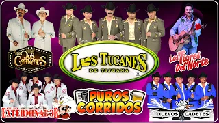 Los Tucanes De Tijuana🎵Grupo Exterminador🎵Los Tigres Del Norte🎵Cardenales de Nuevo Leon