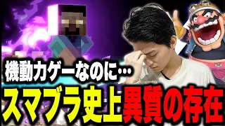 スティーブはなぜ最強なのか？改めて真剣に考えてみるザクレイ【スマブラSP】