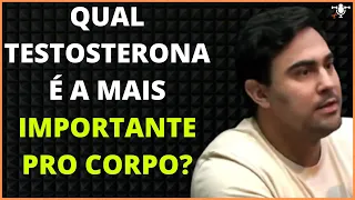 QUAL A DIFERENÇA ENTRE TESTOSTERONA LIVRE E TOTAL? TEM ALGUMA MELHOR PARA O CORPO? | Strong Podcast