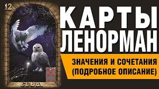 Карты Ленорман. Карта Совы/Птицы (12). Значения и сочетания карт.