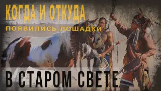 465,Когда и откуда появились лошадки в Старом Свете,IGOR GREK