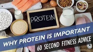 Why is protein so important for fitness - 60 Second Fitness Advice
