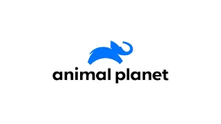 Logo Sting (Animal Planet) Version 2