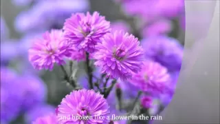 FLOWER IN THE RAIN by Jaci Velasquez (with lyrics)