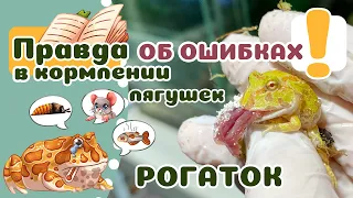 ТОП 5 ХУДШИХ кормов для лягушек-рогаток!