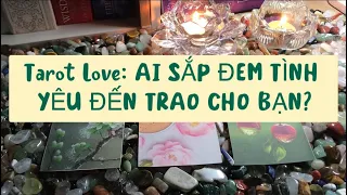 Tarot Love: AI SẮP ĐEM TÌNH YÊU ĐẾN TRAO CHO BẠN?