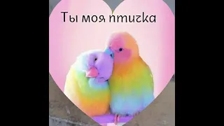 Я тебя люблю💕. Музыкальная открытка. Признание в любви. I love you.