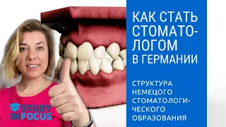 Как Стать Стоматологом - структура стоматологического образования в Германии