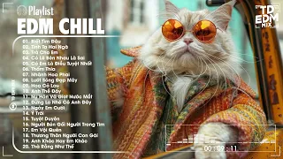 Một Chút EDM Chill Thư Giản ♫ Top 20 Bản EDM Gây Nghiện HOT TikTok 2024 ♫ BXH Nhạc Trẻ Remix 2024