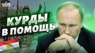 Путин срочно усиливает разворованную армию курдскими наемниками