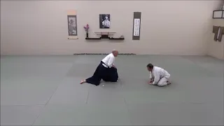 Aikido Seminar: TOITSUTAI - Unified Body (Part 1)