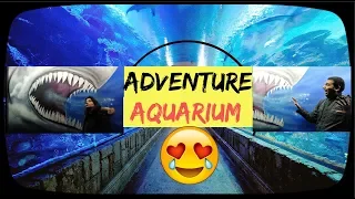 ADVENTURE AQUARIUM | CAMDEN | NEW JERSEY