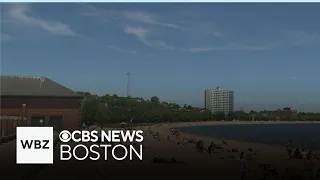 Police investigating 100 person fight at Carson Beach in South Boston