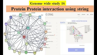 Genome wide study Part 16 | Protein Protein interaction PPI network using STRING database