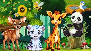 Cute Little Farm Animal Sounds -Cat Hyena, Giraffe, Dog , Lemur, Kingfisher - Music For Relax