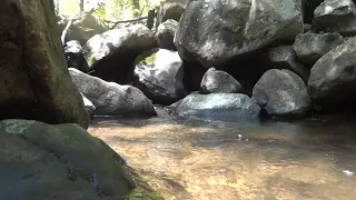 ручей среди камней