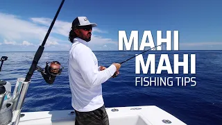 How To Find Dolphin, Mahi, Dorado on Weedlines - ReelReports