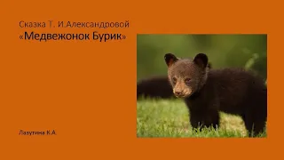 Сказка Т.И. Александровой «Медвежонок Бурик»