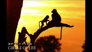 Circle Of Life 【混声アカペラ５声部】