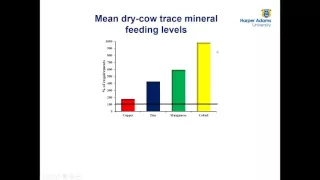 Mineral nutrition of dairy cattle