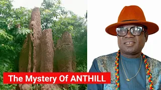 The Mystery Of ANTHILL - Nana Ayebiafo JNANA